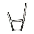 thumbnail image 1 of HyVIZ Silva Flash Horse Headcollar, 1 of 2