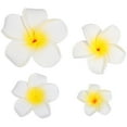 thumbnail image 1 of BRIGHTFUFU 4 piezas flores hawaianas pinzas para el cabello pasador nupcial playa tropical boda plumeria flor mujeres fiesta nupcial orquídea horquilla accesorios, 1 of 7
