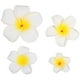 thumbnail image 1 of 4 piezas flores hawaianas pinzas para el cabello pasador nupcial playa tropical boda plumeria flor mujeres fiesta nupcial orquídea horquilla accesorios, 1 of 5