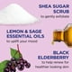 thumbnail image 3 of Exfoliante corporal Dr. Teal's Shea Sugar Black Elderberry 570 ml x3, 3 of 9