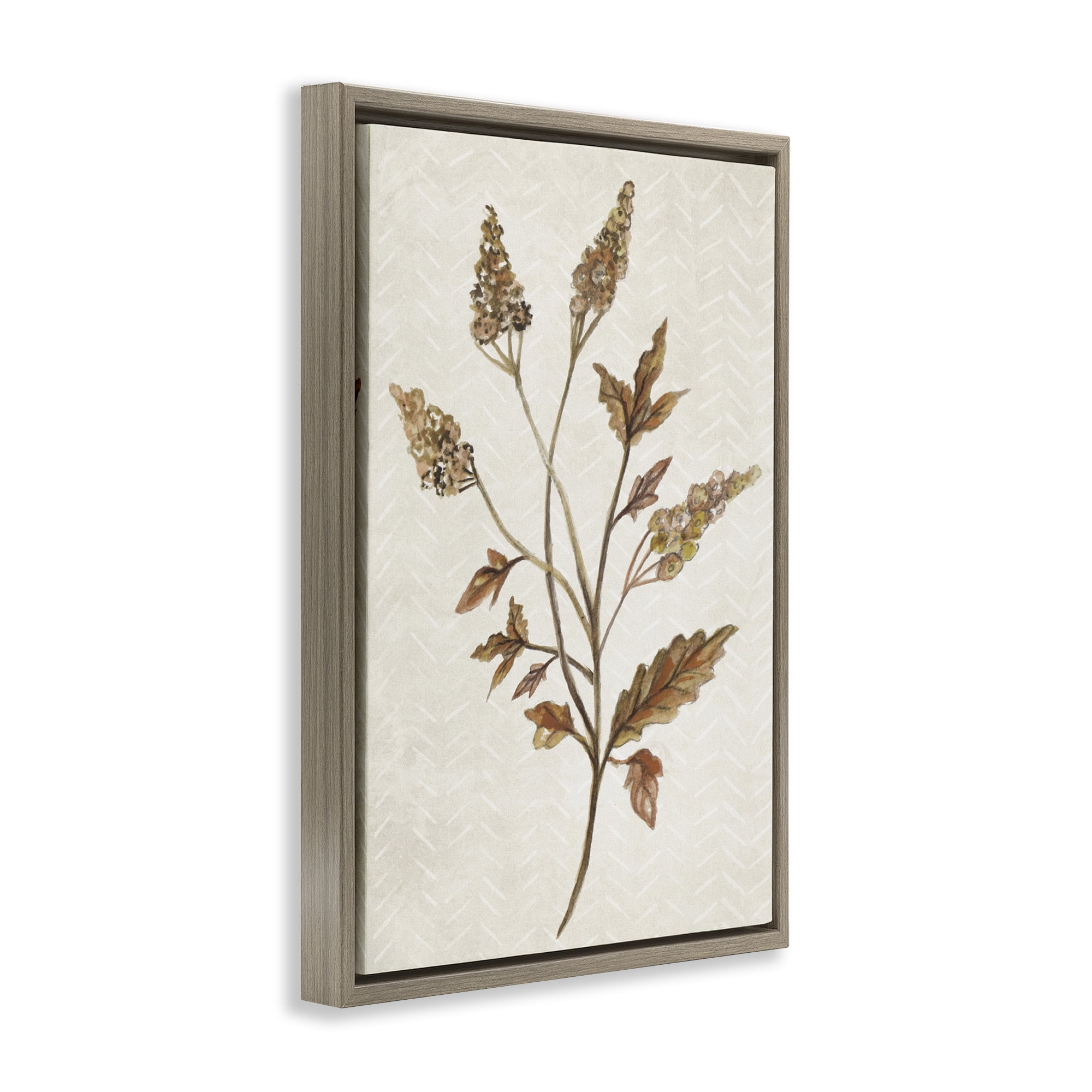 Stupell Industries Neutral Garden Botanics Botanical & Floral Painting Brown Floater Framed Canvas Art Print Wall Art, 21 x 31