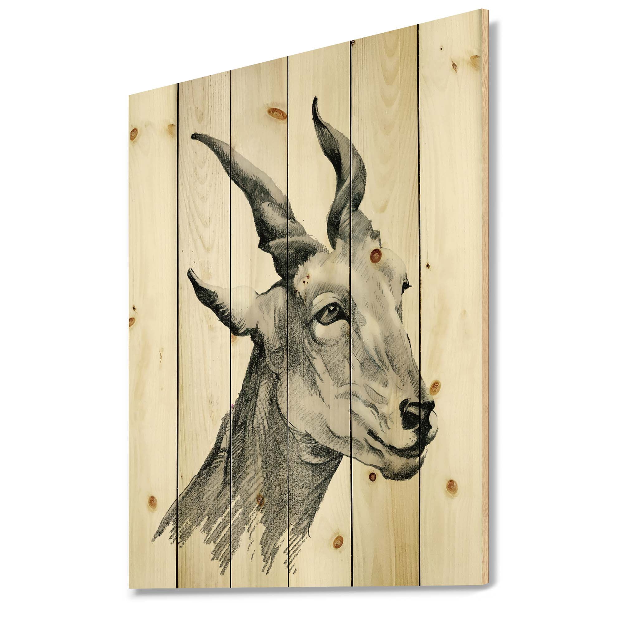 Designart 'Black and White Portrait Of Goat I' Farmhouse Print on Natural Pine Wood