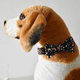 thumbnail image 5 of Bonito collar para cachorro, con estampado de flores, juego de 2 collares para perrita, con decoración floral desmontable., 5 of 5