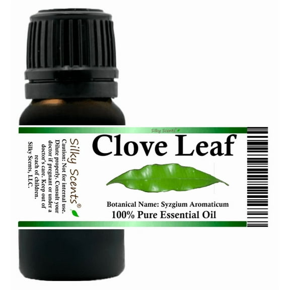 Clove Leaf Essential Oil 5 ml (1/6 fl oz) - 100% Pure and Natural by Silky Scents