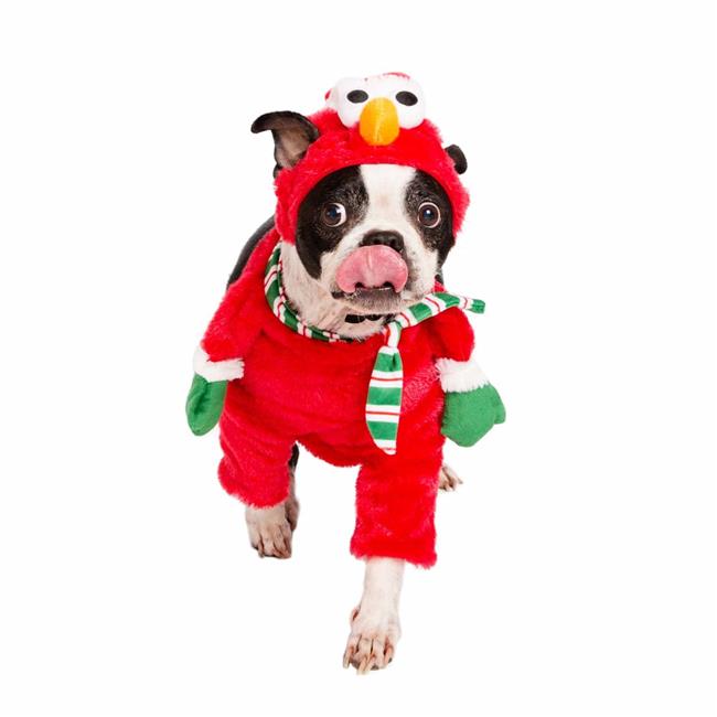 walking santa dog costume