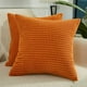 thumbnail image 2 of Dinheiro Fundas de Almohada Decorativas, Juego de 2 Fundas de Almohada Lumbares de Pana Suave, Funda de cojín para decoración del hogar para sofá, Cama, sofá, Dormitorio, Coche, 2 of 6