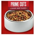 thumbnail image 3 of Purina ALPO Prime Cuts Savory Beef Flavor Dry Dog Food, 16 lb Bag, 3 of 8