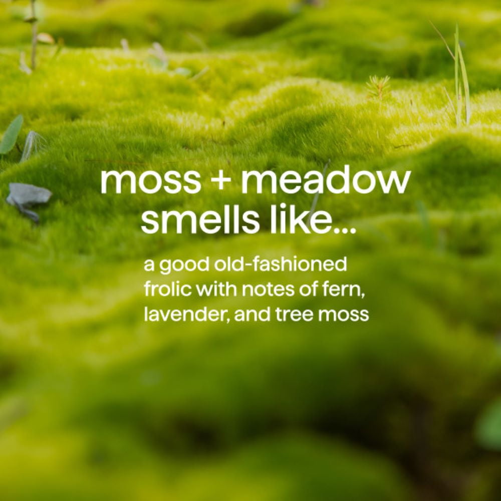 Method Shampoing et après-shampoing 2 en 1 pour hommes Moss+Meadow 414 ml