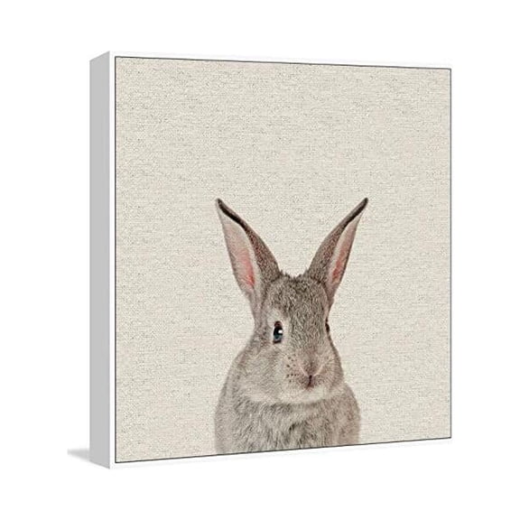 Marmont Hill Bunny Surprise Floater Framed Painting Print on Canvas
