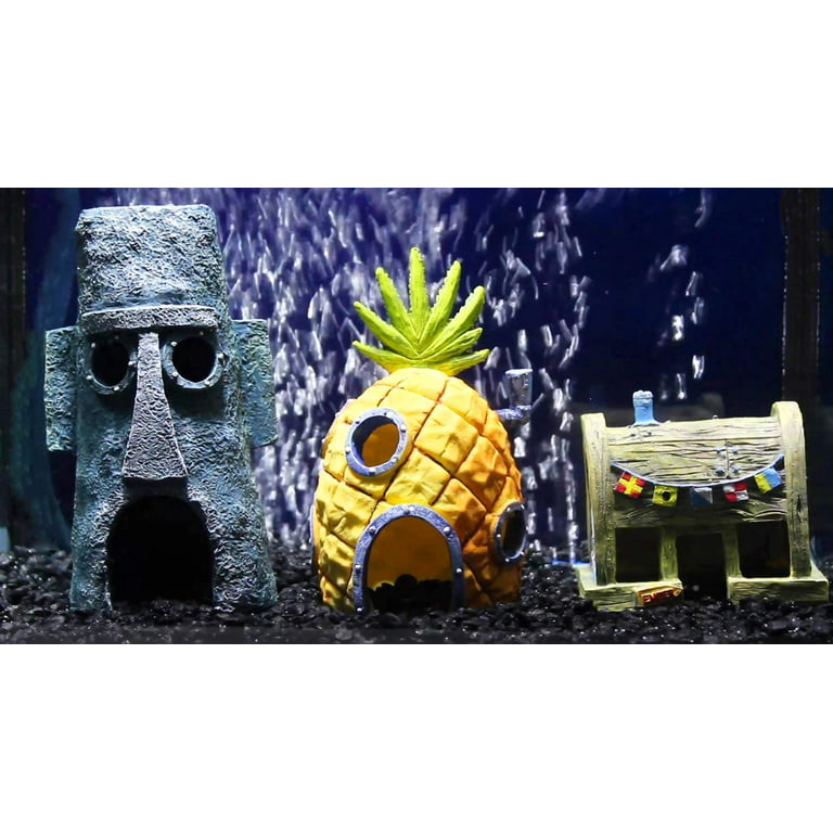 My son's Sponge Bob inspired fish tank