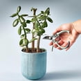 thumbnail image 4 of \u200bLightweight Garden Shears - Ergonomic Pruners for All Hand Sizes\u200b, 4 of 5