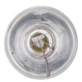 thumbnail image 4 of UVB Sun Lamp Provides UVB Heat Reptile Sun Lamp For Amphibian Reptile, 4 of 8