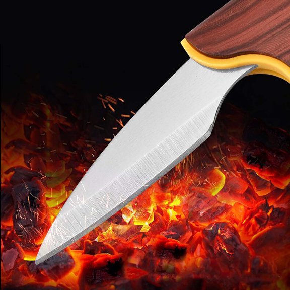 Compact 2-in-1 Fruit Knife for Outdoor and Everyday Use - Durable Pocket Tool for Cutting Tasks