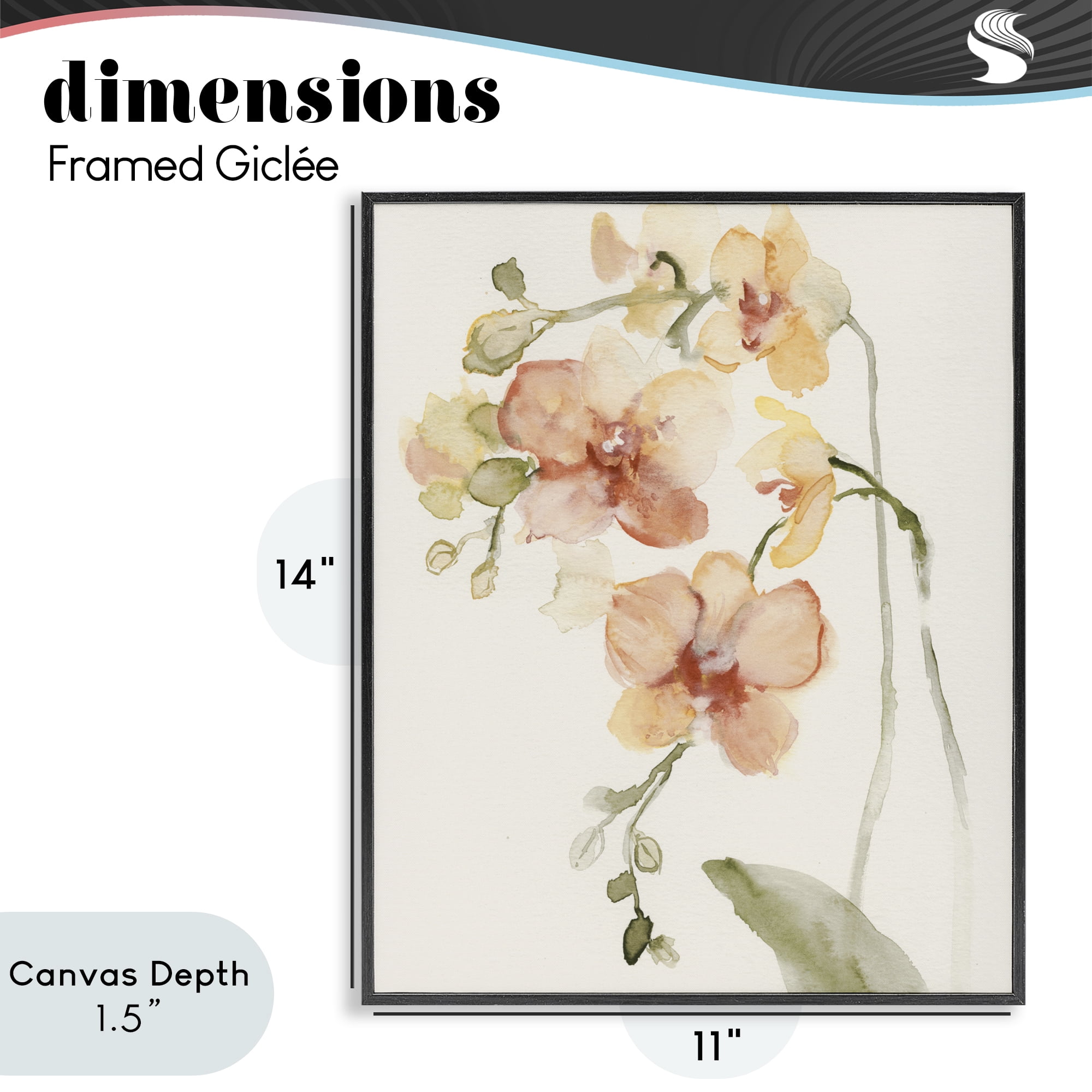 Stupell Industries Peach Orchid in Bloom Black Framed Giclee Art, design by Victoria Barnes