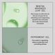 thumbnail image 5 of Suero potenciador capilar Nioxin | Tratamiento capilar avanzado sin enjuague | Fortalece y acondiciona | 100 ml, 5 of 8