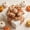 131#Orange, variant on Thanksgiving Wired Edge Ribbon, 2.5 Inch x 5 Yards, Pumpkin and Maple Leaf Fall Design for Wreath, Bows, and Seasonal Farmhouse Decor