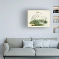 thumbnail image 3 of Unknown 'Antique Waterbirds III' Canvas Art, 3 of 3
