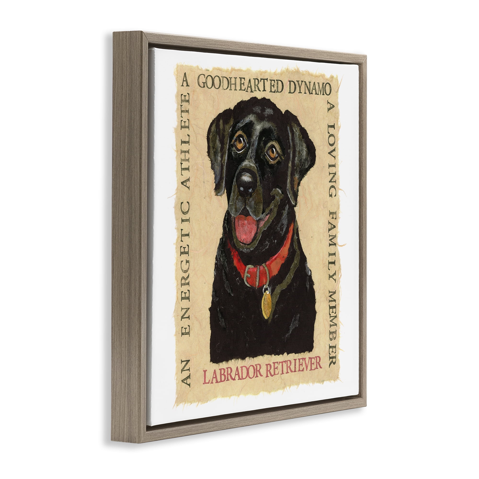 Stupell Industries Fun Black Labrador Phrases Animals Painting Brown Floater Framed Canvas Art Print Wall Art, 18 x 18
