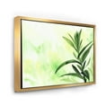 thumbnail image 3 of Designart 'Bamboo Palm Detail I' Traditional Framed Canvas Wall Art Print, 3 of 5