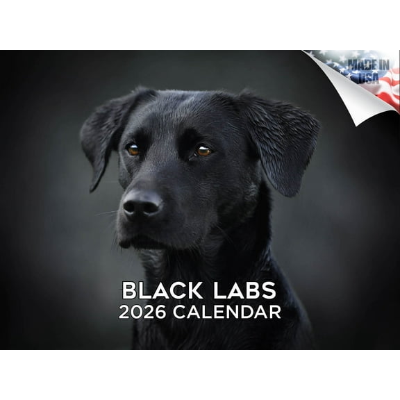 2025 2026 Labrador Black Calendar - Dog Breed Monthly Wall Calendar - 12 x 18 Open - Thick No-Bleed Paper - Giftable - Made in USA