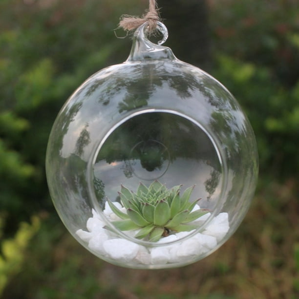 TYMEIK Hanging Glass Planter Round Air Plant Terrarium Globe Kit for