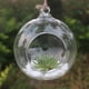 thumbnail image 1 of Jarrón colgante de flores, jardinera de cristal, contenedor de terrario for plantas, decoración de boda for el hogar, jarrón creativo en forma de bola pegado a la pared, transparente, 1 of 6