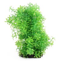 unique bargains aquarium plants