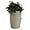 Sandstone, variant on Vinsco 50 Gallon Rain Saver - Dark Granite