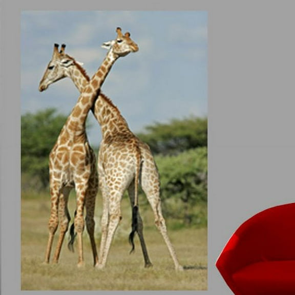 Wallhogs Giraffe I Glossy Wall Mural