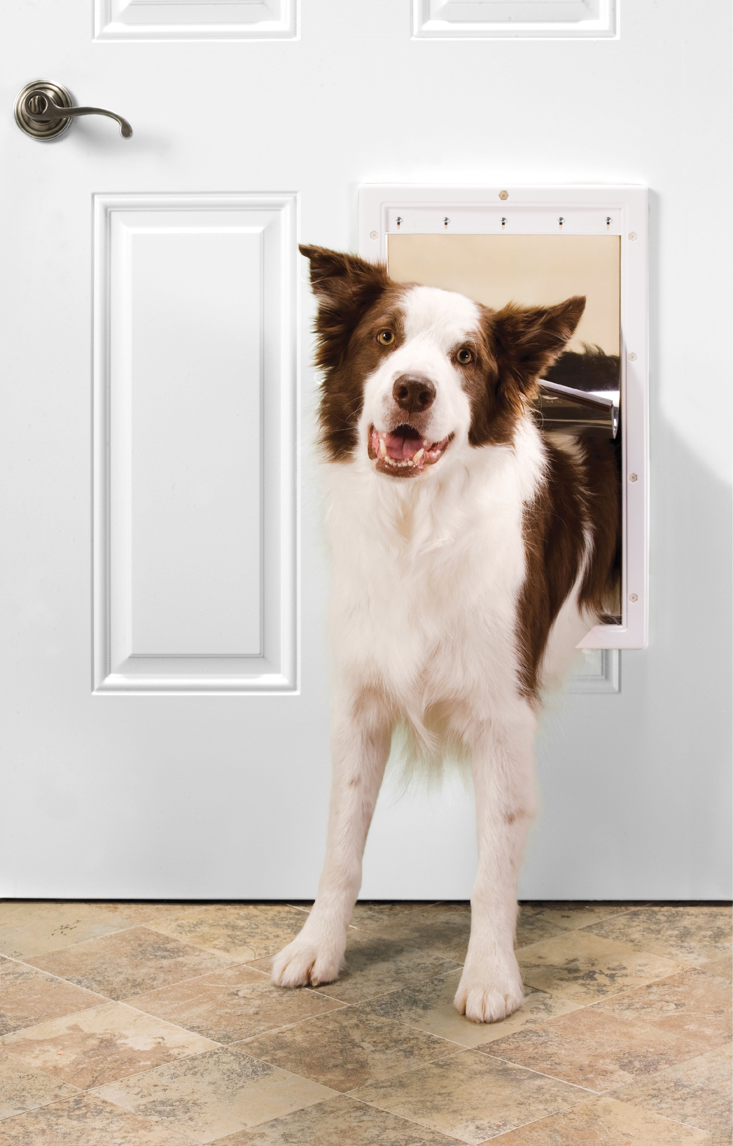Premier Pet Plastic Dog Door White Large 13 94 L X 2 W X 22 06 H