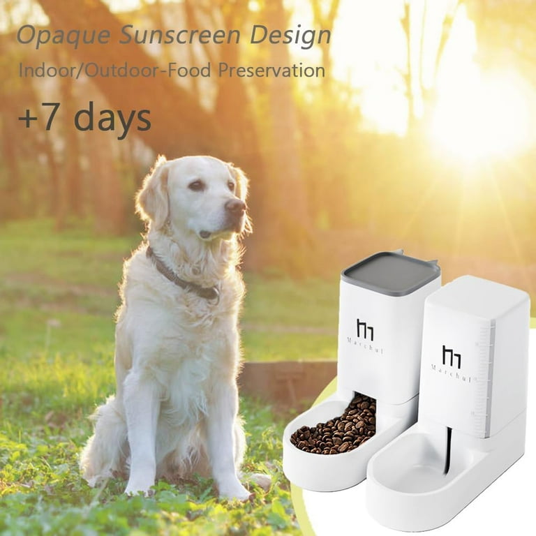 Outdoor dog feeders hot sale