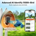 thumbnail image 3 of Smart Bird Feeder with Camera Solar Powered, Squirrel-Proof, 2K Full-Color Night Vision Camera, Ideal Gift for Bird Lovers, 3 of 7