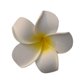 thumbnail image 2 of Clip de encaje hawaiano con forma de huevo de EVA de 4 a 11 cm para vacaciones en la playa, accesorios para trajes de baño, flor de cabeza, 2 of 6