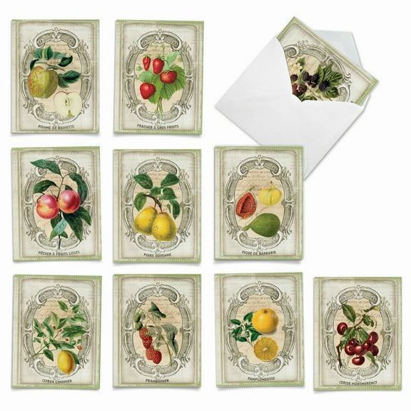 10 All Occasion Blank Note Cards Assorted (4 x 5.12 Inch) - French Fruit M4190OCB-B1x10