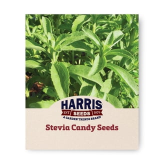 where to buy edamame seeds for planting 11503 - Lanco Edamame  Southern Exposure Seed Exchange