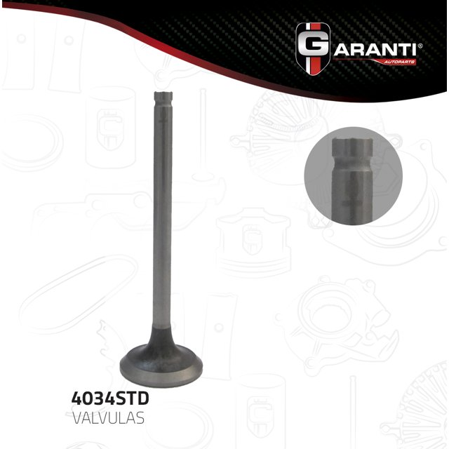 Valvula Escape Garanti Para Oldsmobile Silhouette 1996 - 2001 (Garanti)