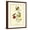 Brown Frame, variant on Art.com Mango Hummingbird Art Print by John James Audubon, White Frame Wall Art, 23" x 29"
