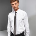 thumbnail image 2 of Premier Couleurs Cravate à Pince en Satin pour Hommes, 2 of 3