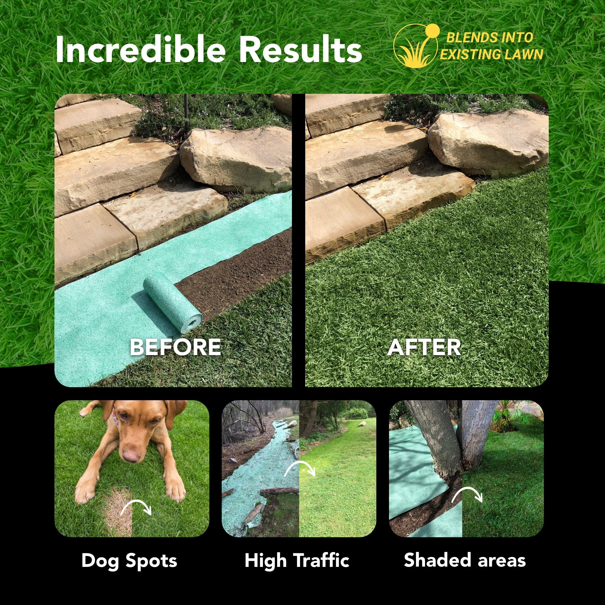 GrowTrax 50-ft. x 1-ft. Full Sun, Bermuda Rye Mixture Grass Seed