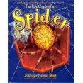 thumbnail image 1 of The Life Cycle of a Spider, 1 of 1