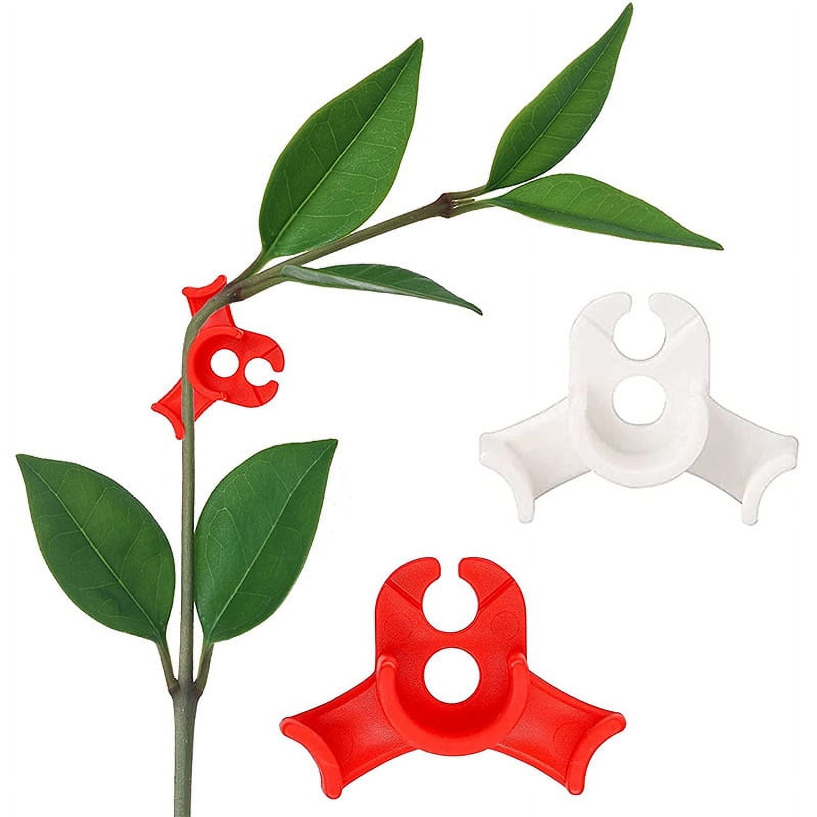 Plant Branch Clips - For Bending Plants And Changing The Direction Of Growth, Vertical And Healthier Growth, 20 Pieces JU