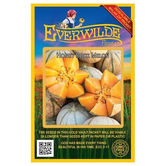 Everwilde Farms - 50 Honey Rock Melon Seeds - Gold Vault Jumbo Bulk Seed Packet