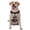 With Accessories, variant on Vsdgher Flower Cat Couple Pattern Dog Harness,No Pull Pet Harness with Soft Padded Handle,Adjustable Reflective Vest with 2 Buckles,4 Slide Buckles,S-XL