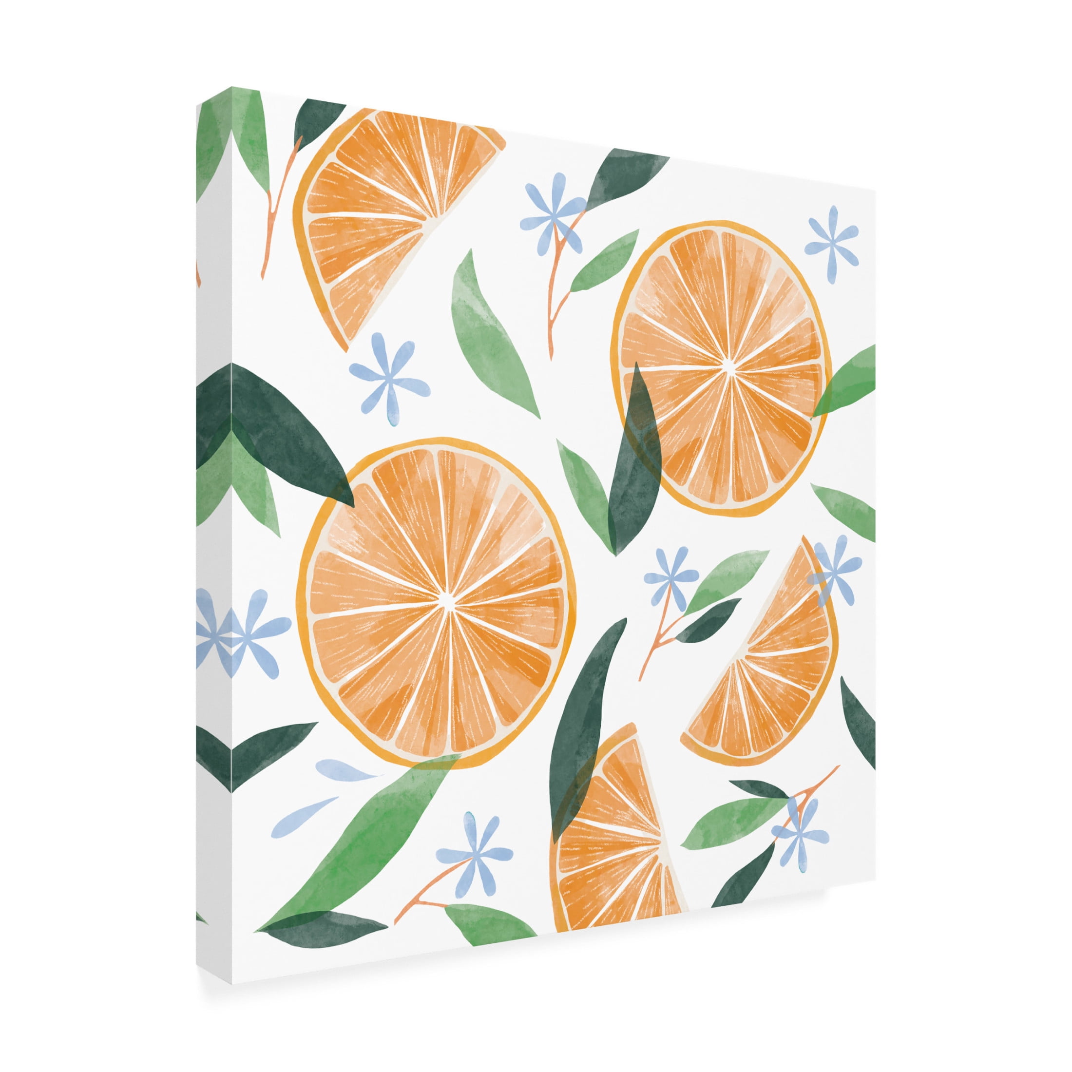 Canvas Wall Art - Rebekah Ewer 'Orange Blossom Slices I' Wall Art for Living Room, Bedroom, or Office Décor by Trademark Fine Art - 14 x 14 Inches