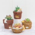 thumbnail image 2 of Succulent Flower Pot Drain Hole with Rubber Plug Micro Landscape Resin Small Animal Storage Box Office Desk Decoration A2, 2 of 7