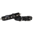 thumbnail image 2 of Derby Dog Designer Series USA Leather Spikes and Diamond Padded Dog Collar - 10", 2 of 6