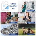 thumbnail image 2 of Soluvet Desinfectante Veterinario Bioseguridad 1L, 2 of 3