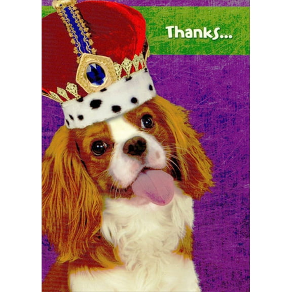 Designer Greetings Dog Wearing Crown Thank You Card