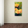 thumbnail image 3 of Trademark Fine Art 'Yellow Field Poppies' Canvas Art by Marion Rose, 3 of 3