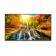 Sharp 43 Ultra High Definition Commercial Display PNME432